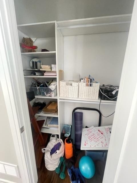 view of closet