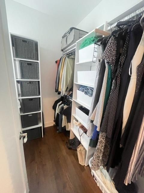 walk in closet featuring dark hardwood / wood-style floors