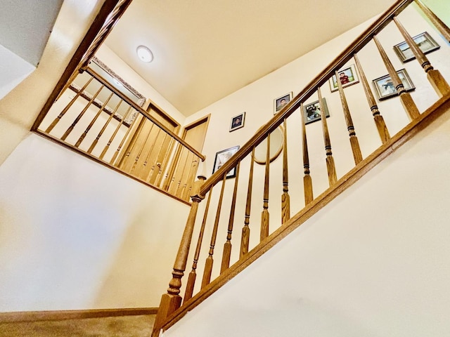 staircase featuring carpet