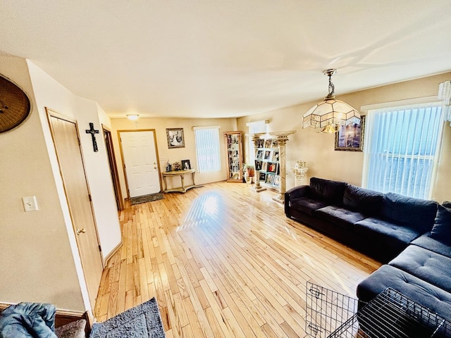 living room with hardwood / wood-style floors and a wealth of natural light