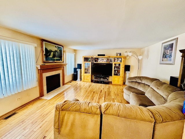 living room featuring wood-type flooring