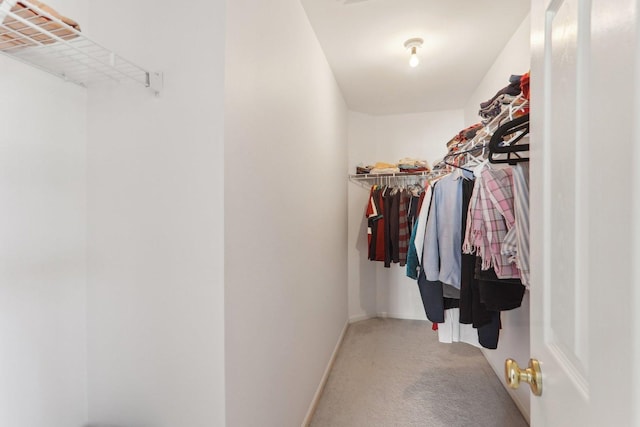 walk in closet featuring carpet