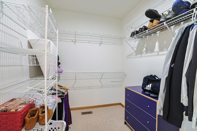 spacious closet with carpet