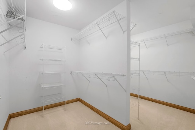 spacious closet with carpet flooring