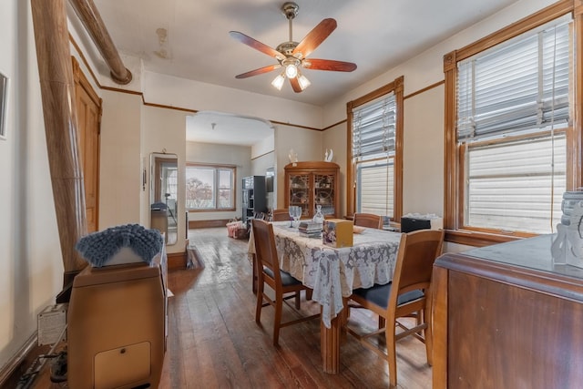 dining area with ceiling fan and dark hardwood / wood-style flooring