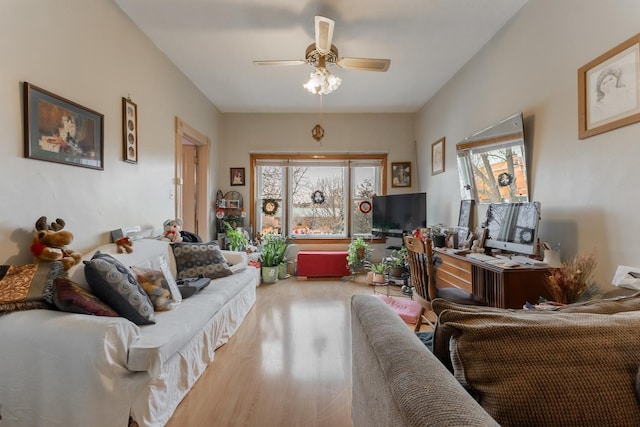 living room with ceiling fan and wood-type flooring