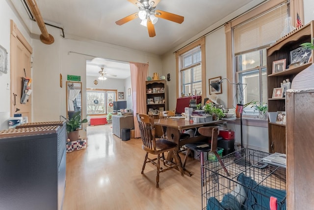 office area featuring hardwood / wood-style floors and ceiling fan