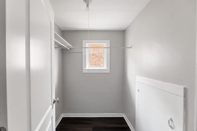 walk in closet featuring dark hardwood / wood-style floors