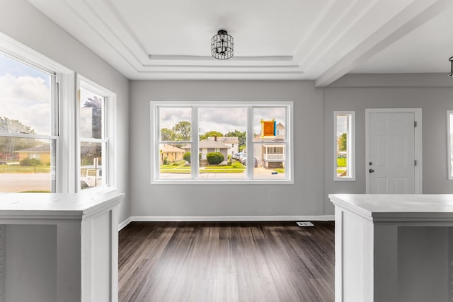 interior space featuring dark wood-type flooring, plenty of natural light, and a raised ceiling