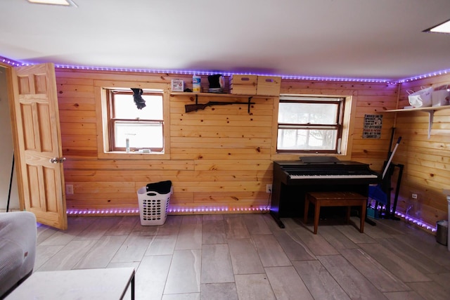 miscellaneous room with a healthy amount of sunlight and wood walls