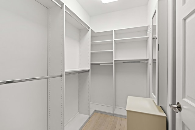 view of walk in closet