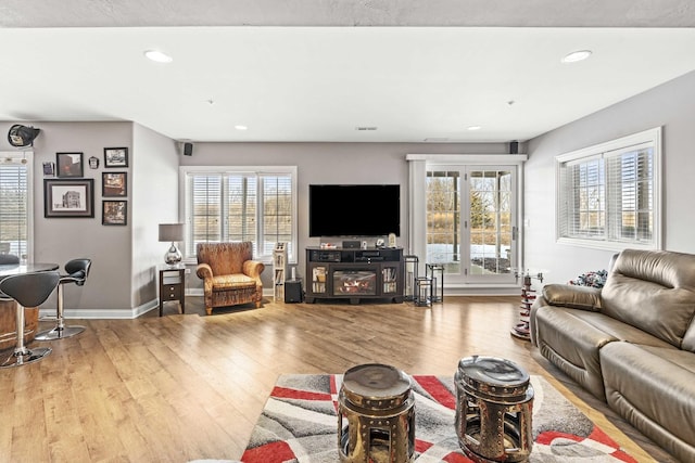 living room featuring wood-type flooring