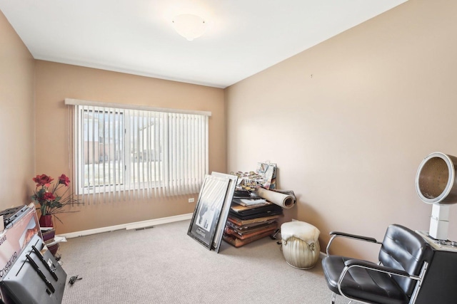 living area featuring carpet