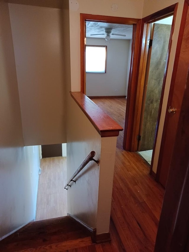 stairway featuring ceiling fan and hardwood / wood-style floors