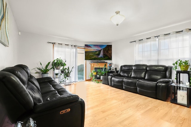 living room with hardwood / wood-style flooring