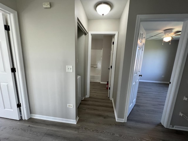 hallway featuring dark hardwood / wood-style flooring