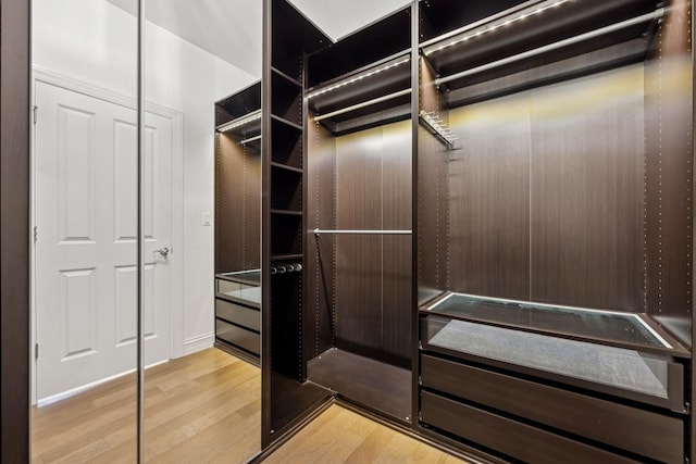 walk in closet with hardwood / wood-style floors