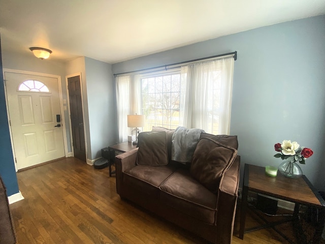 living room featuring dark hardwood / wood-style flooring