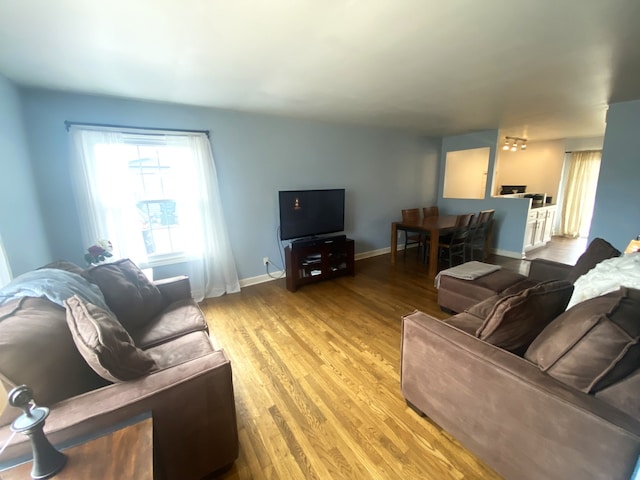 living room featuring hardwood / wood-style floors