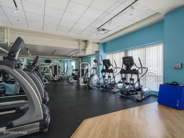 gym featuring wood-type flooring and rail lighting