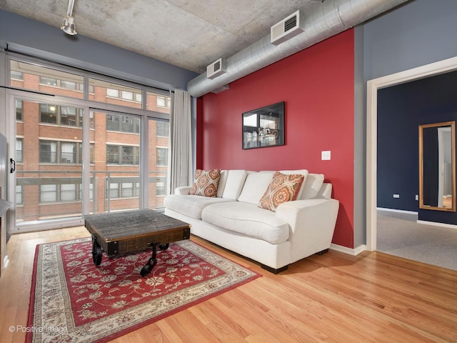 living room featuring wood-type flooring