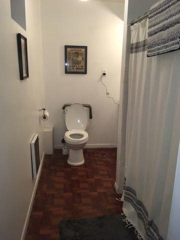 bathroom with parquet flooring and toilet