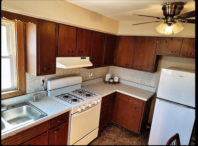 kitchen featuring sink, white appliances, a wealth of natural light, and ceiling fan