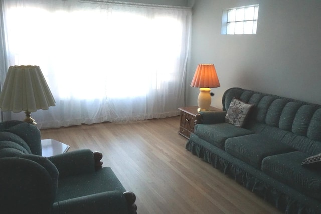 living room featuring light wood-type flooring