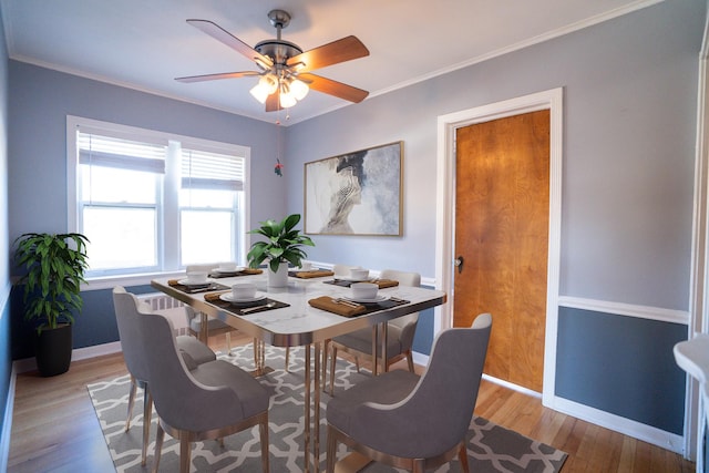 dining space featuring ceiling fan, ornamental molding, and light wood-type flooring