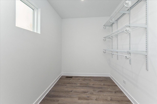 spacious closet with dark wood-type flooring