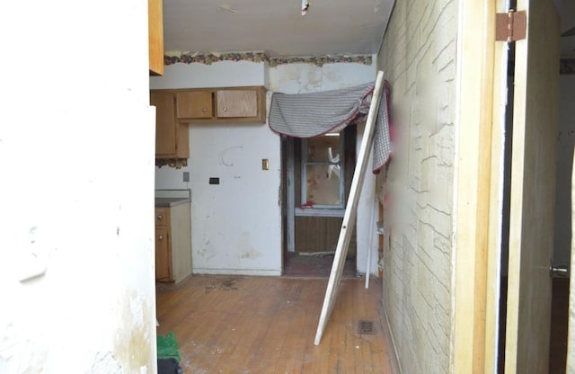 kitchen featuring wood-type flooring