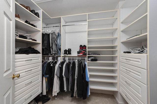 walk in closet featuring carpet floors