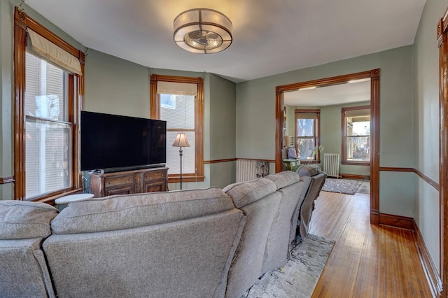 living room with radiator and light wood-type flooring