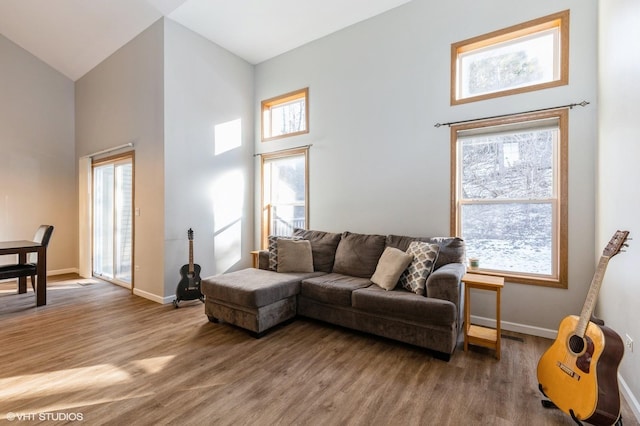 living room with high vaulted ceiling and hardwood / wood-style floors