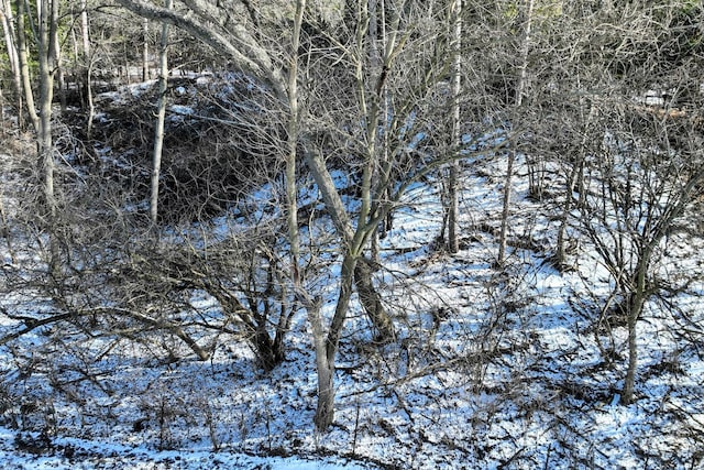 view of snow covered land