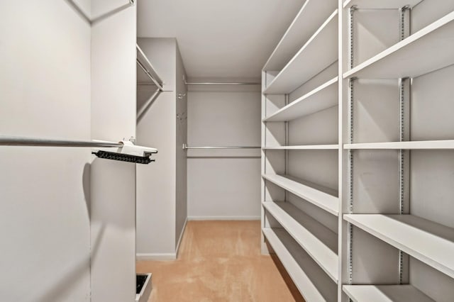 walk in closet with light colored carpet