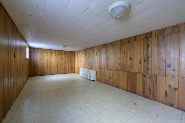 basement with wood walls