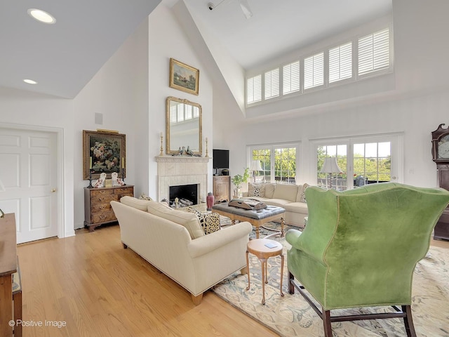 living room featuring high vaulted ceiling and light hardwood / wood-style flooring