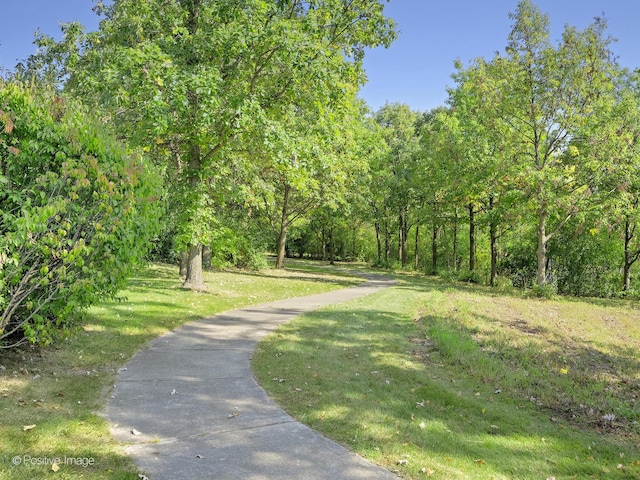 view of home's community with a lawn