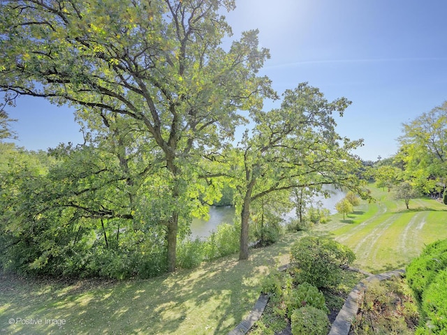 view of local wilderness with a water view