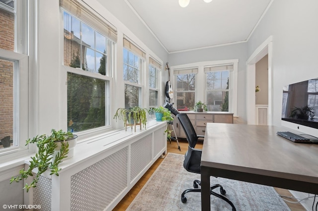 home office featuring ornamental molding, plenty of natural light, and wood-type flooring