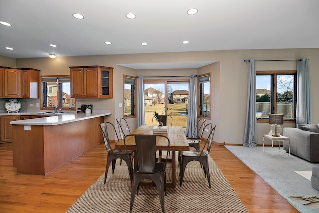 dining space with sink and light hardwood / wood-style flooring