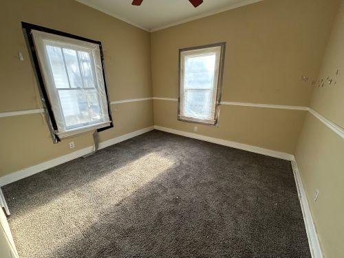 carpeted spare room featuring crown molding, a healthy amount of sunlight, and ceiling fan