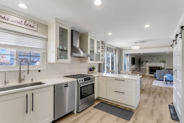 kitchen featuring white cabinetry, wall chimney range hood, stainless steel appliances, and sink