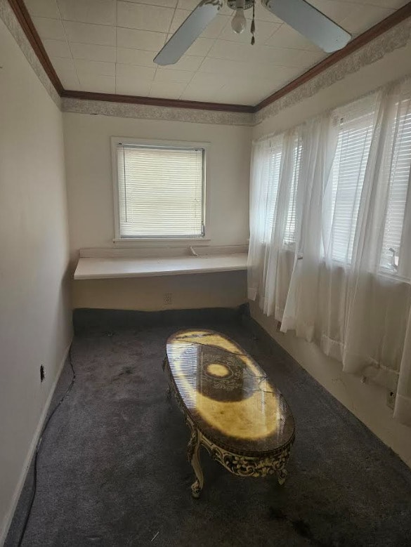 unfurnished room with ornamental molding, carpet, and ceiling fan