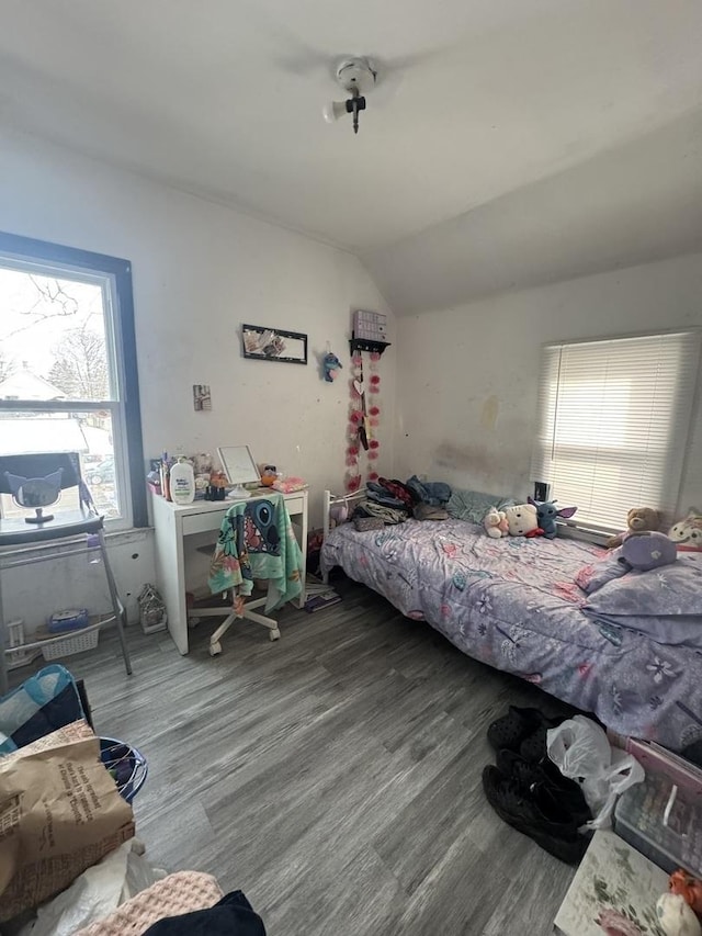 bedroom featuring vaulted ceiling and hardwood / wood-style floors