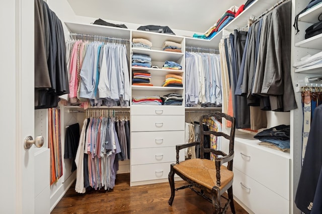 walk in closet featuring dark wood-type flooring