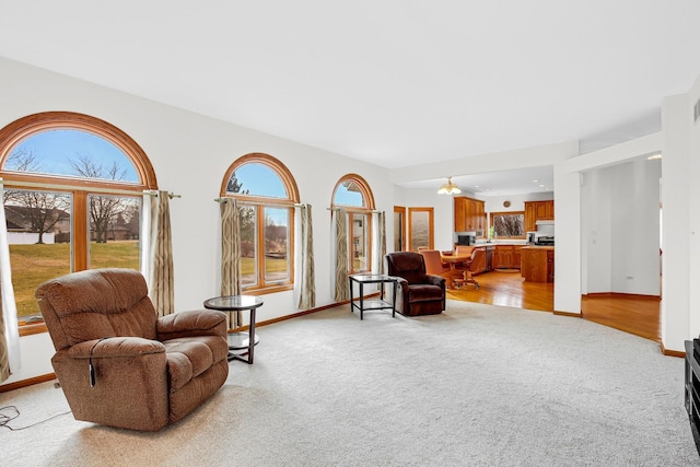 living area featuring light colored carpet