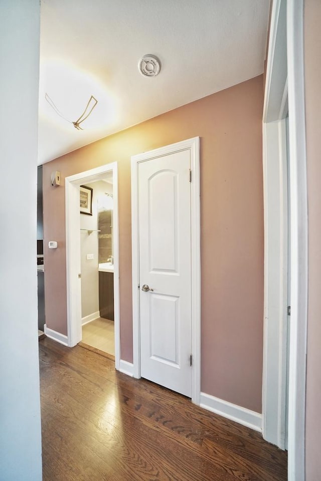 hallway featuring dark wood-type flooring