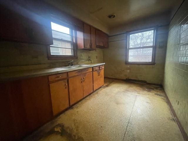 kitchen with sink and a wealth of natural light